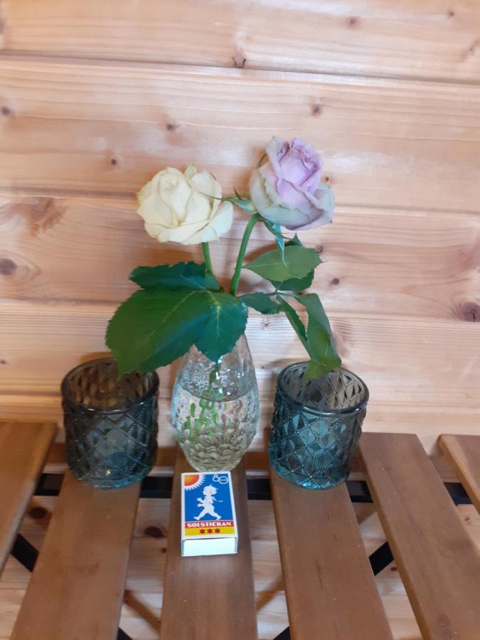 Knutstorp Ranch Apartment Tyringe Екстериор снимка